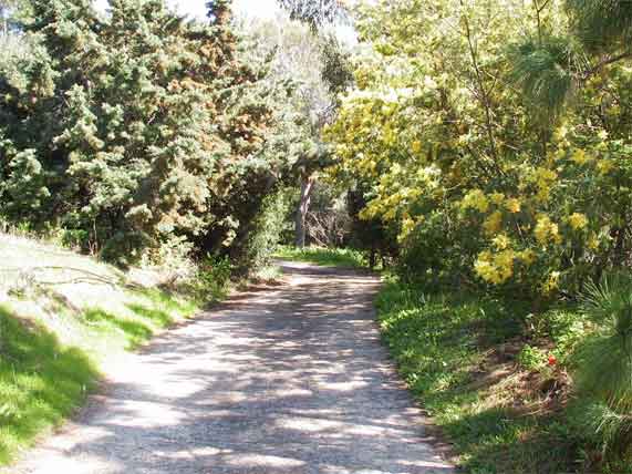 Photo alle principale du jardin